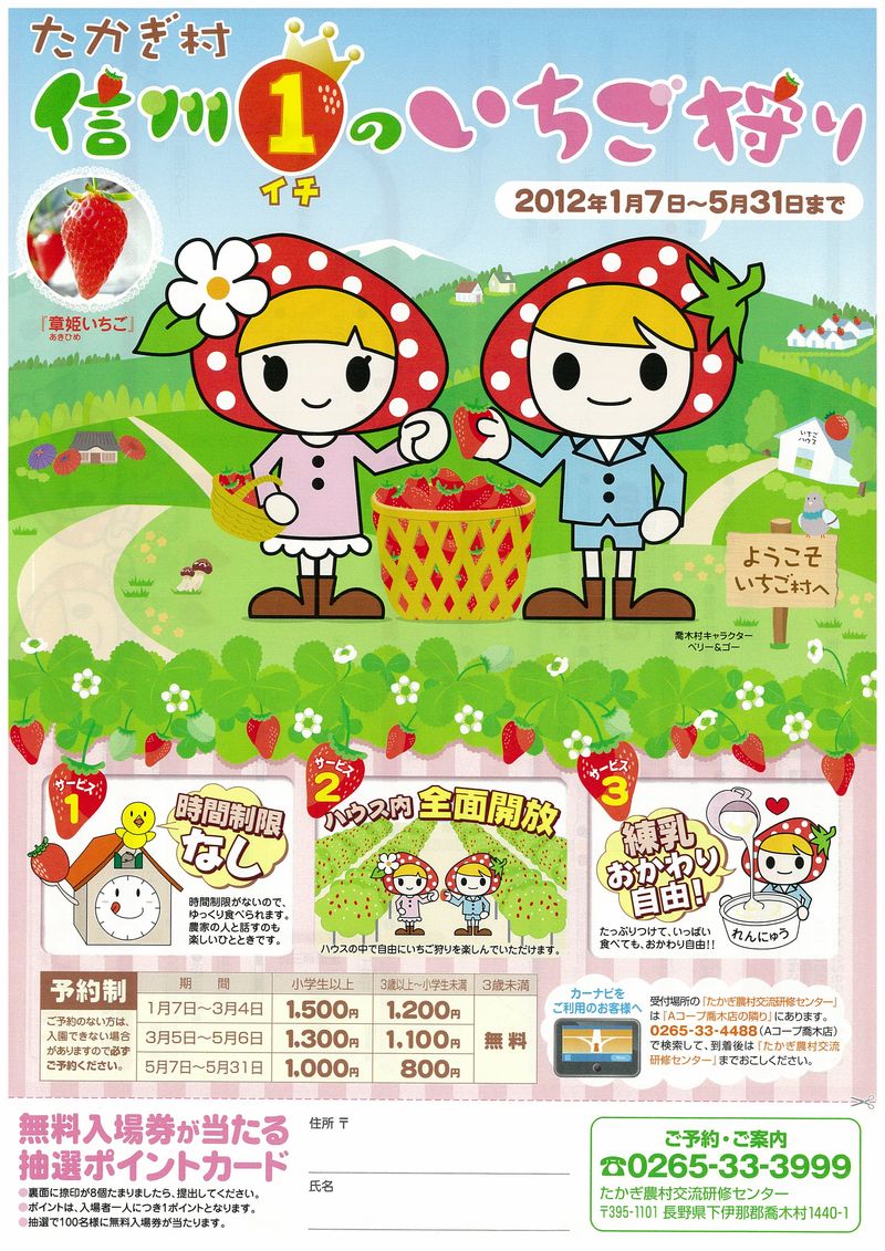 いちご狩り始まりました いしだのスタッフブログ