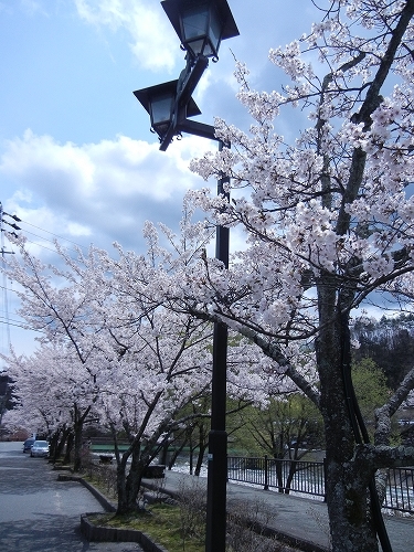 DSCN3501 DSCN3501