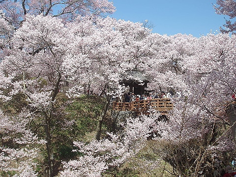 高遠城址公園