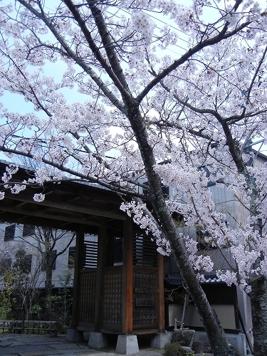 DSCN3508 DSCN3508