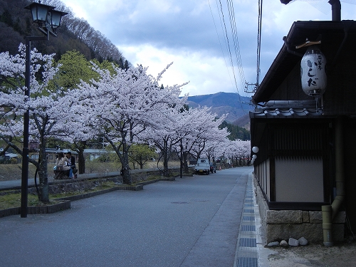 DSCN3510 DSCN3510