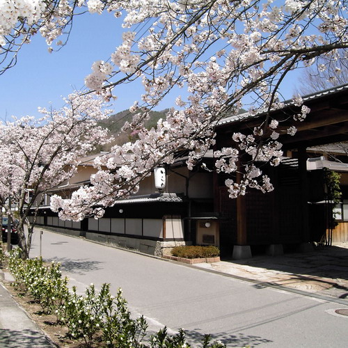 桜-いしだ正門前500×500