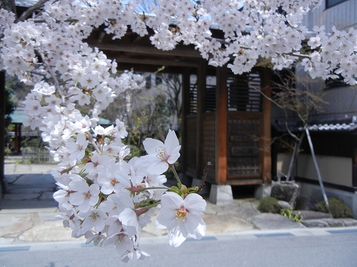DSCN3503 DSCN3503