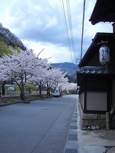 DSCN3509 DSCN3509