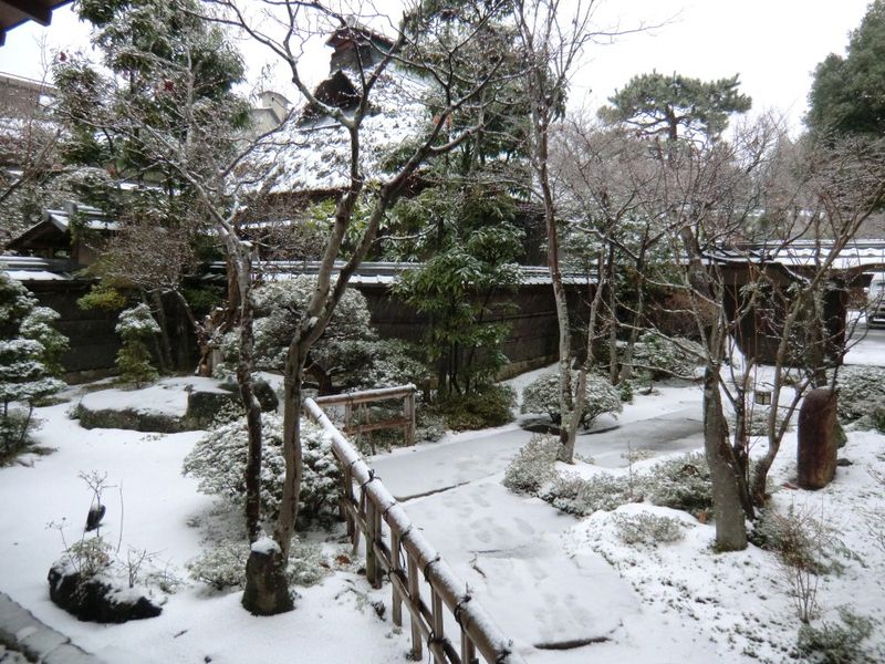 雪の庭園（１２月８日）