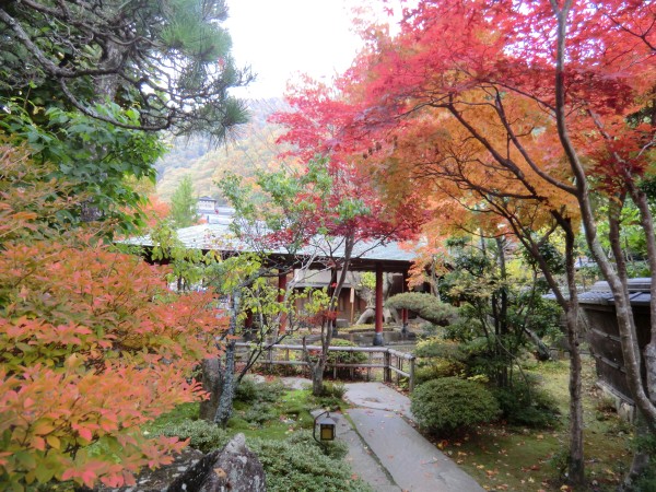 紅葉庭園　裏門より１１月７日