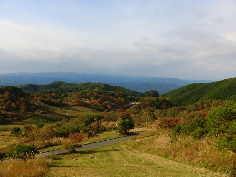 池ヶ平牧場　景色　三河湾